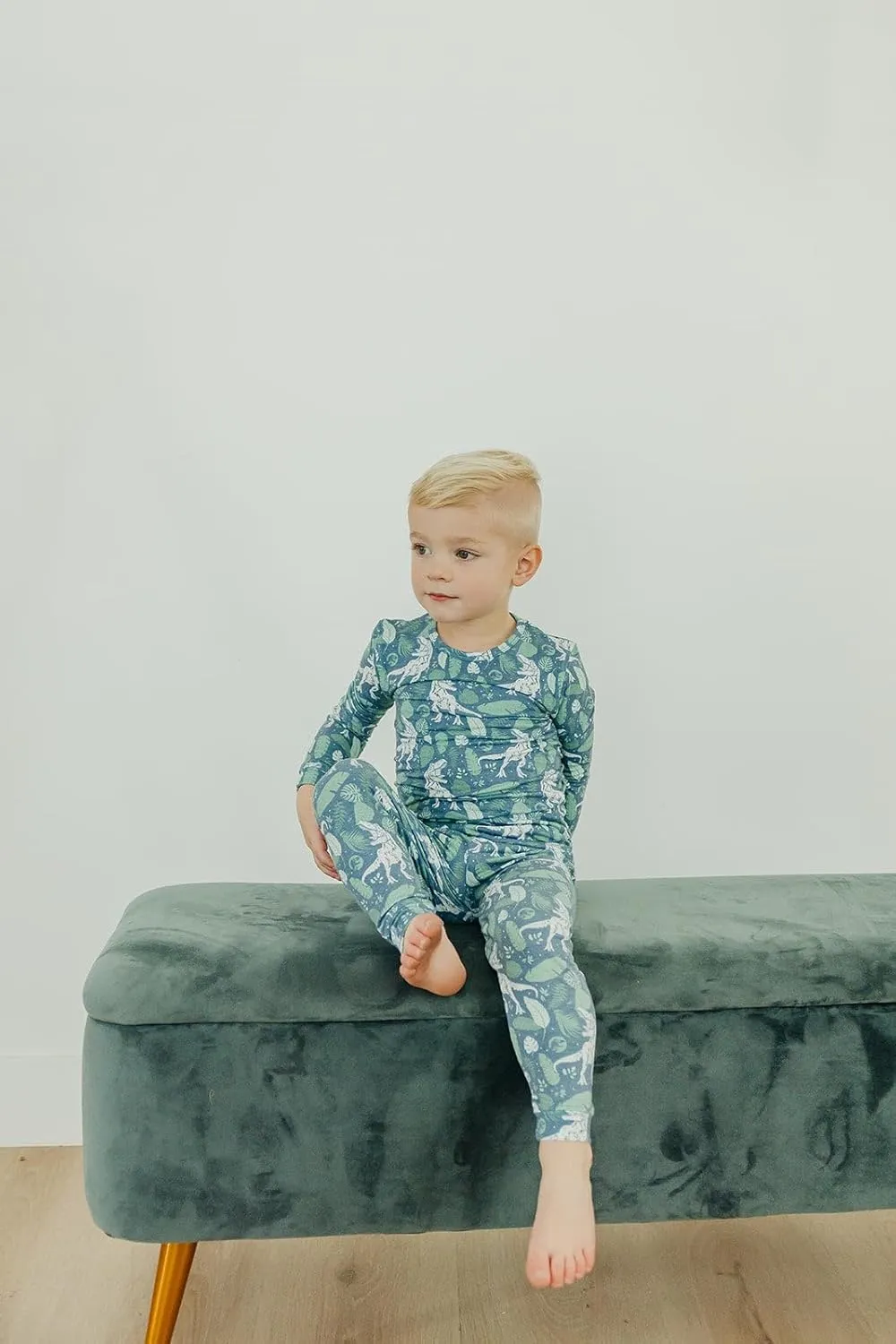 Copper Pearl Two Piece Long Sleeve Toddler Pajamas PJ Sets for Boys and Girls - Adorable Pattern Pajamas, Breathable Fabric to Keep Cool While Sleeping, Sizes 12 Months to 5T - Jurassic Park