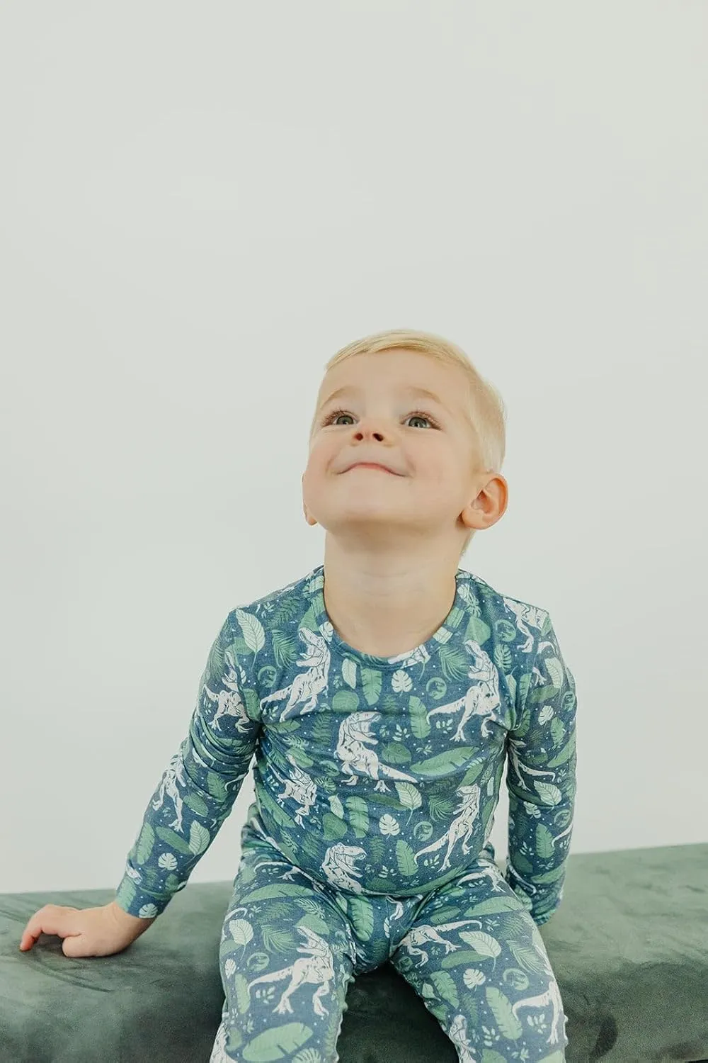 Copper Pearl Two Piece Long Sleeve Toddler Pajamas PJ Sets for Boys and Girls - Adorable Pattern Pajamas, Breathable Fabric to Keep Cool While Sleeping, Sizes 12 Months to 5T - Jurassic Park