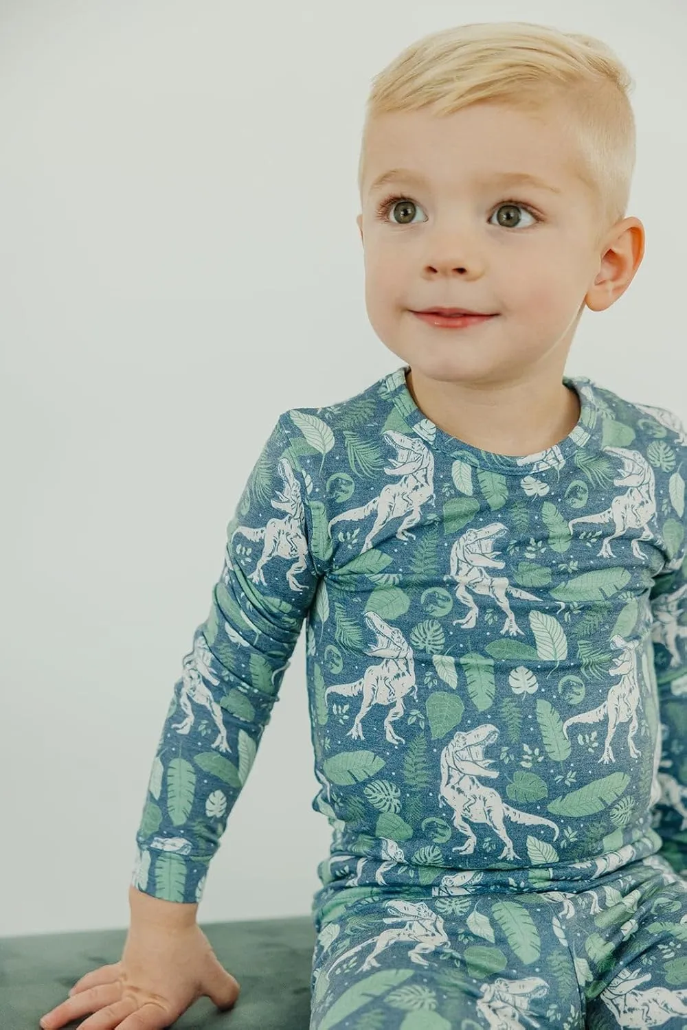 Copper Pearl Two Piece Long Sleeve Toddler Pajamas PJ Sets for Boys and Girls - Adorable Pattern Pajamas, Breathable Fabric to Keep Cool While Sleeping, Sizes 12 Months to 5T - Jurassic Park