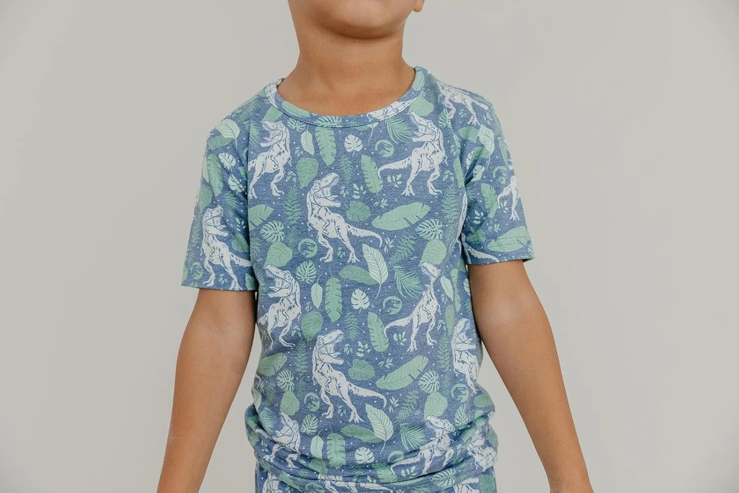Copper Pearl Two Piece Short Sleeve Toddler Pajamas PJ Sets for Boys and Girls - Adorable Pattern Summer Pajamas Shorts to Keep Cool While Sleeping, Size 12 Months to 5T - Jurassic Park