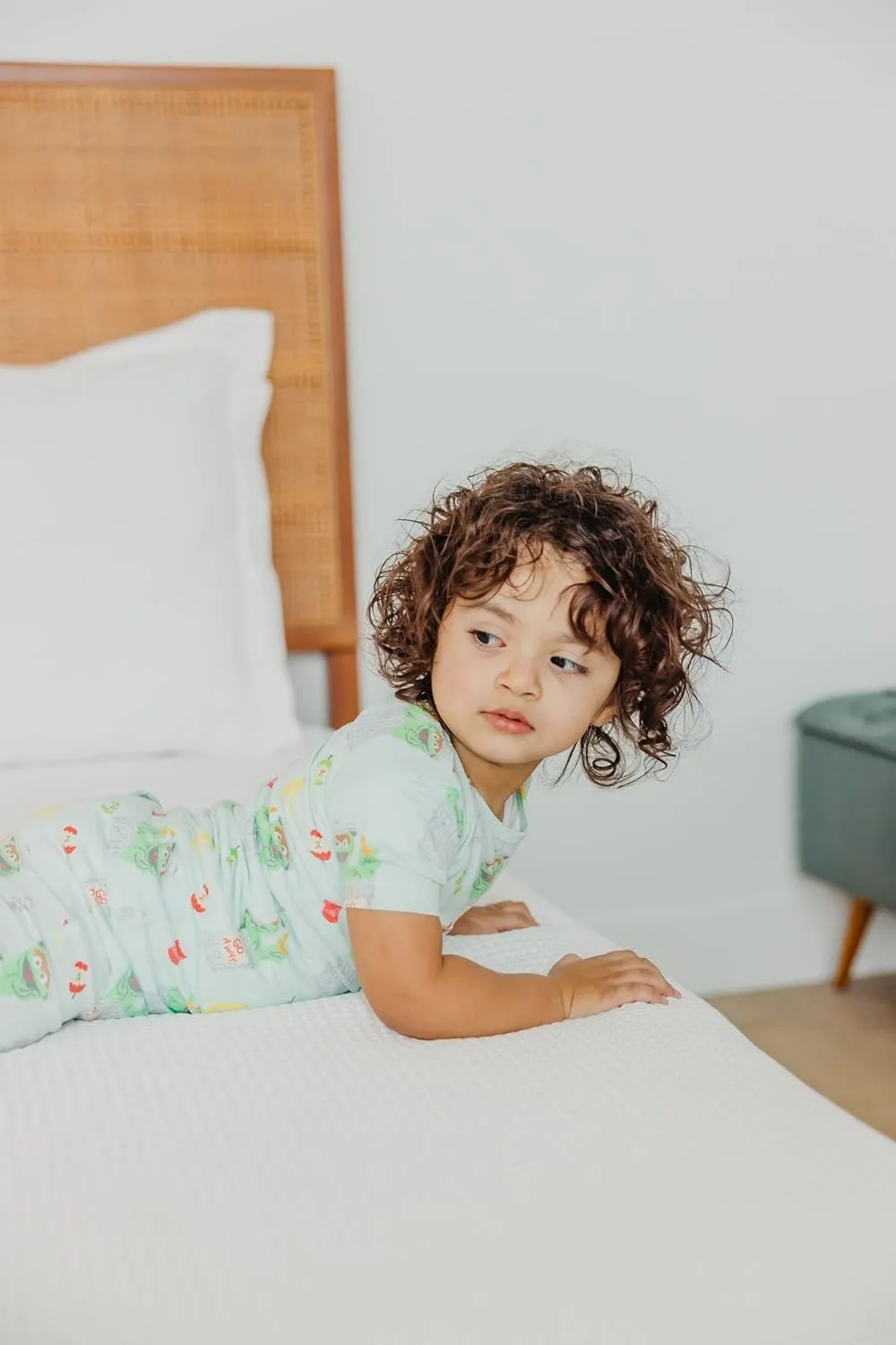 Copper Pearl Two Piece Short Sleeve Toddler Pajamas PJ Sets for Boys and Girls - Adorable Pattern Summer Pajamas Shorts to Keep Cool While Sleeping, Size 12 Months to 5T - Oscar the Grouch